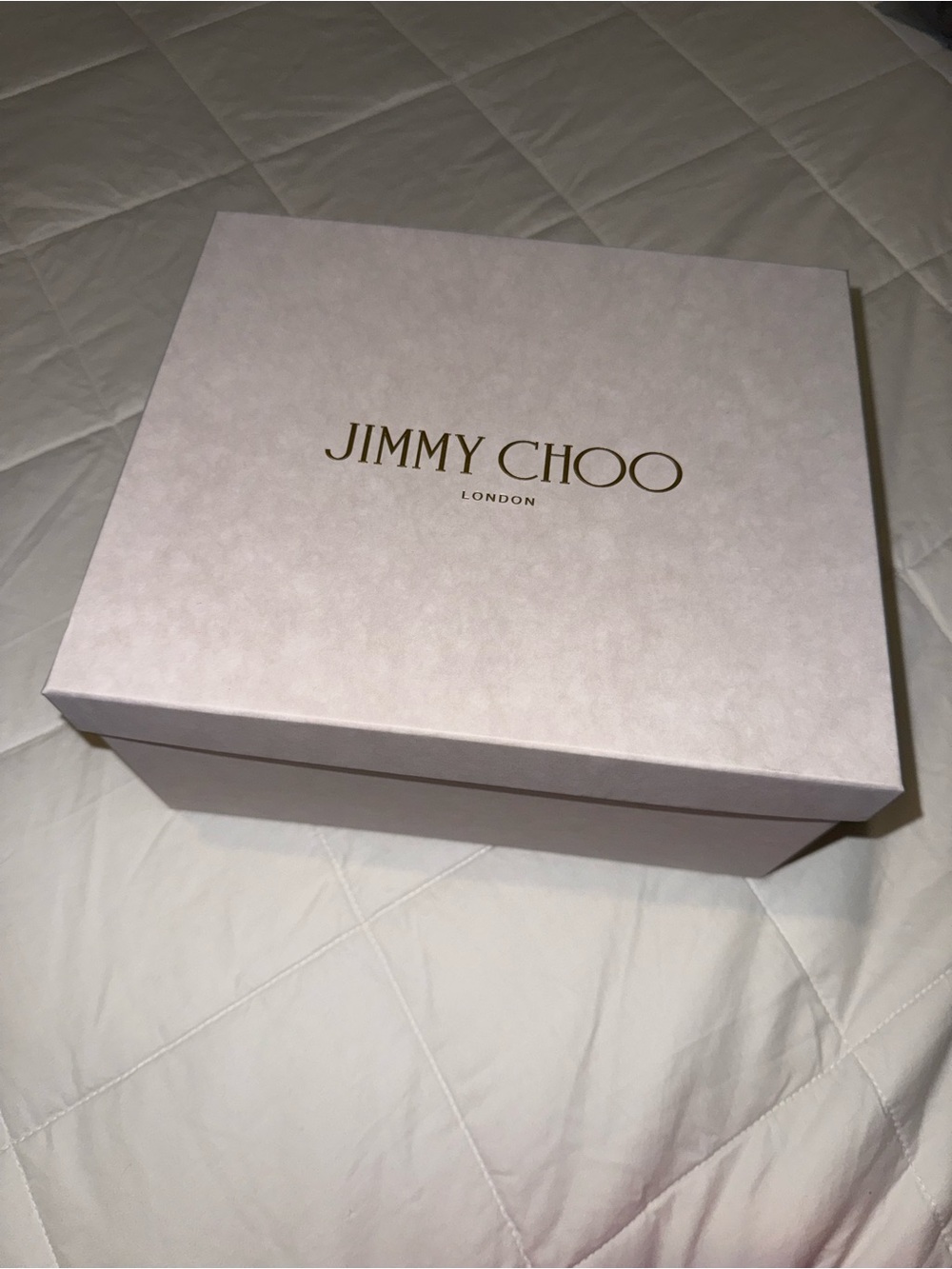 Authentic Jimmy Choo box new